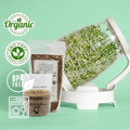 Sprout Spout Alfalfa Starter Kit: Sprout Spout + 4oz or 1lb seeds + Free Sprout Scoop