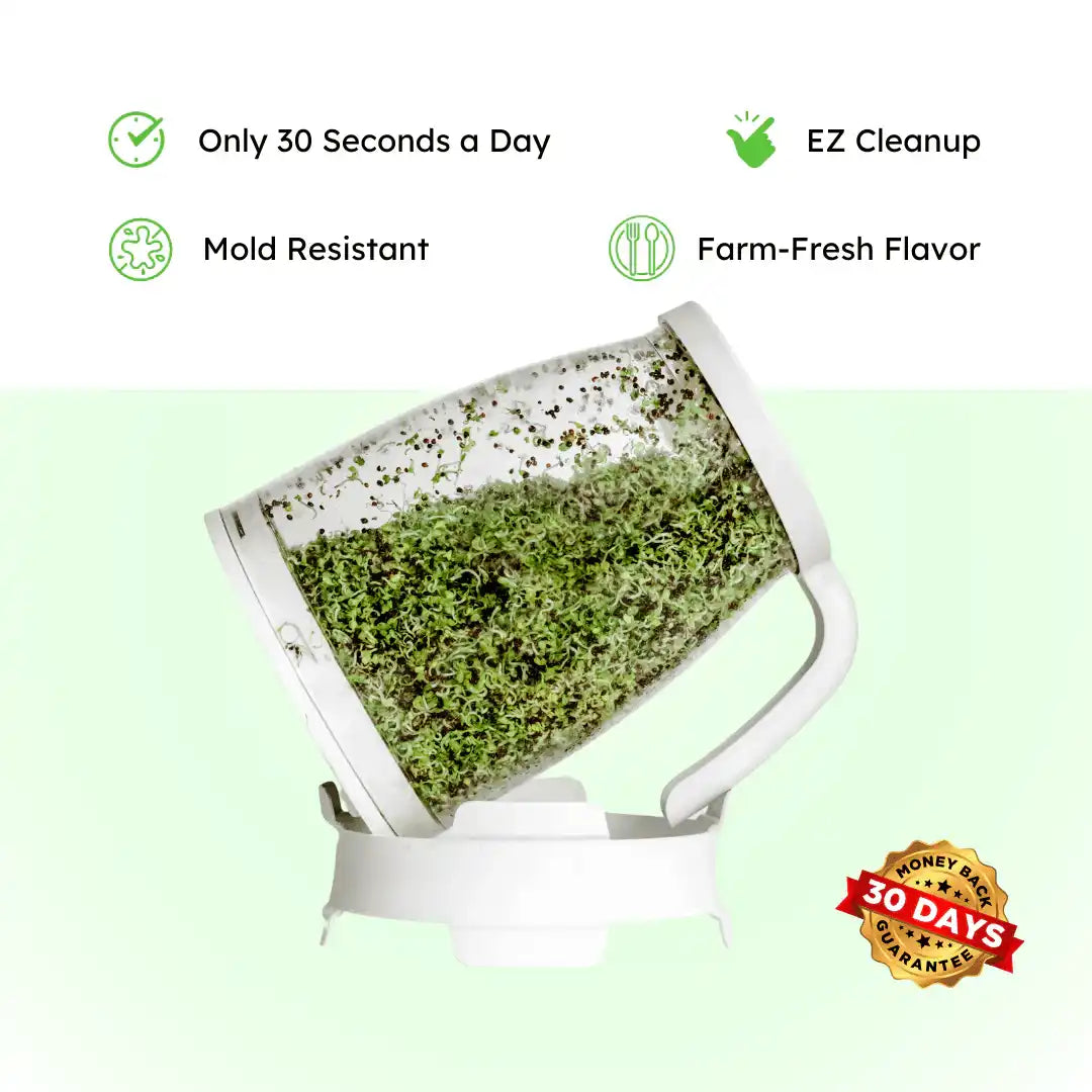 Sprout Spout Violet Vitality Blend Starter Kit: Sprout Spout + 4oz or 1lb seeds + Free Sprout Scoop